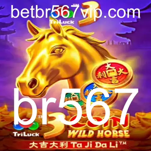 br567 Sic Bo