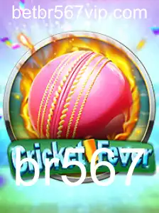 br567 Casino App