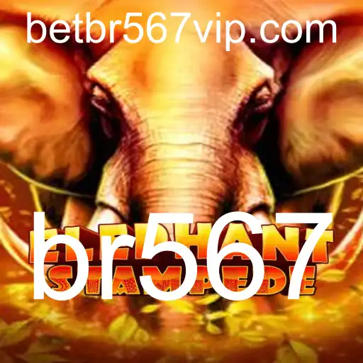 br567 Blackjack