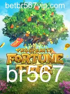 br567 Sic Bo