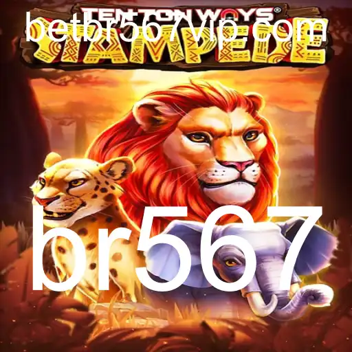 br567 Casino App